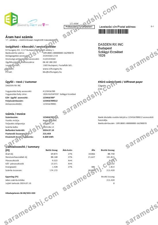 Hungary E2 business utility bill template in Word and PDF formats